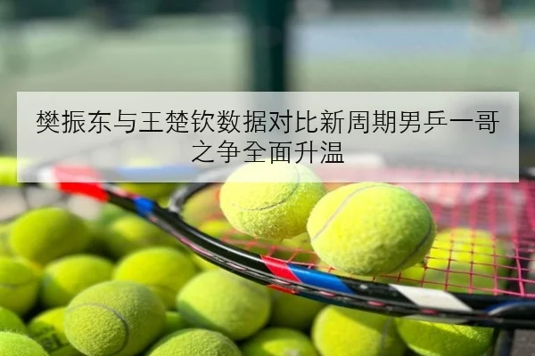 樊振东与王楚钦数据对比新周期男乒一哥之争全面升温（SPORTS）